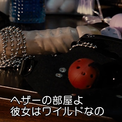 ヘザーの所有する大人のオモチャ